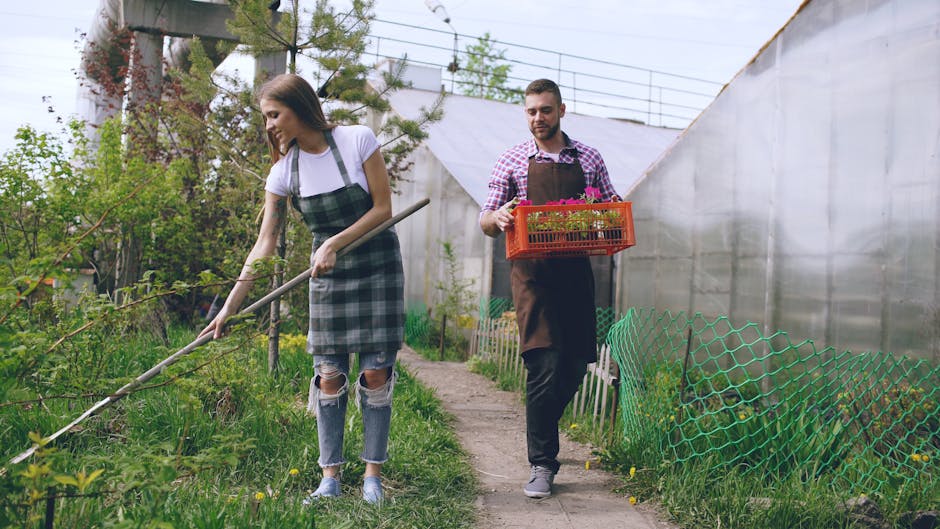 Two gardeners tending to plants in a greenhouse setting, showcasing horticulture activities.